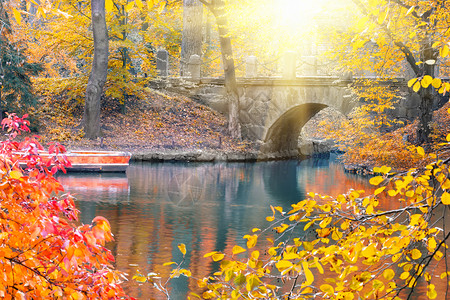 秋天公园的石桥阳光明媚秋天的风景公园石桥阳光明媚树旅行结石图片