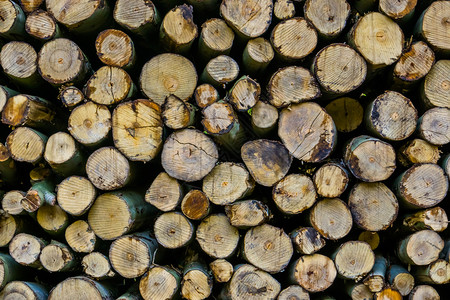 行业股票木柴原切树干背景密闭堆放的火柴锯图片