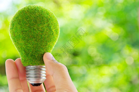 自然技术手持生态灯泡能源概念节省图片