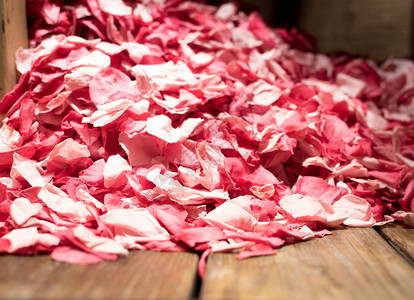 露天场景玫瑰金属瓷砖的壁炉生活花瓣卡片图片