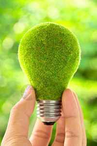 环境的地球手持生态灯泡能源概念责任图片