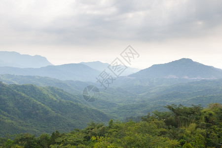 旅行沃景观山区覆盖树木的斜坡fertiile地区林和图片