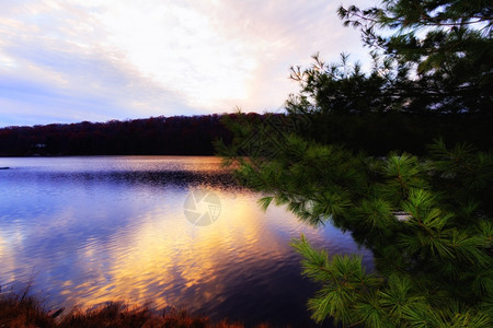 天堂华丽的森林湖日落美丽景色森林湖日落的美景摄影图片