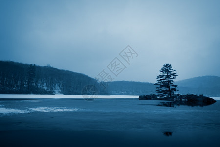 森林湖日落的美丽景色森林湖日落的美景水树夏天图片