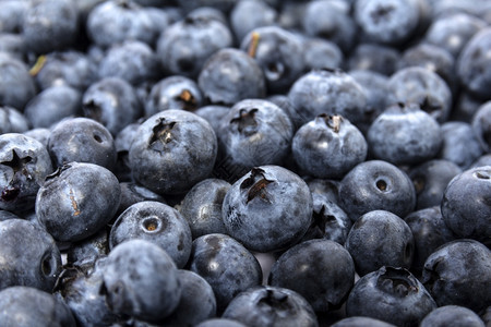 健康蓝莓背景纹理照片浆果自然团体图片