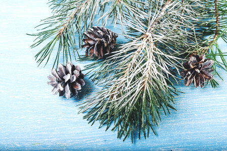 森林白色的艺术雪背景上圣诞树枝和锥体冷杉树枝上覆盖着雪和风格化背景上的锥体图片