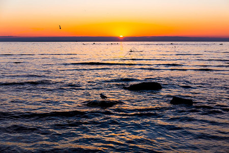 海上夕阳落日图片