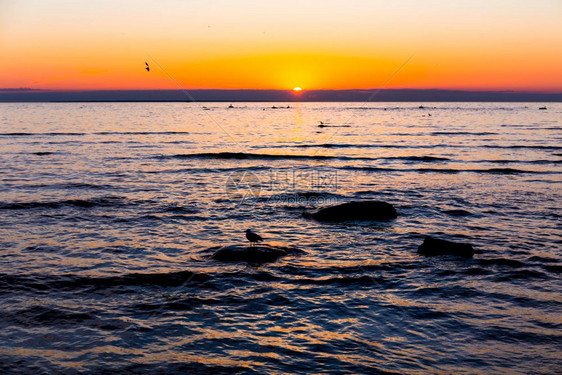 海上夕阳落日图片