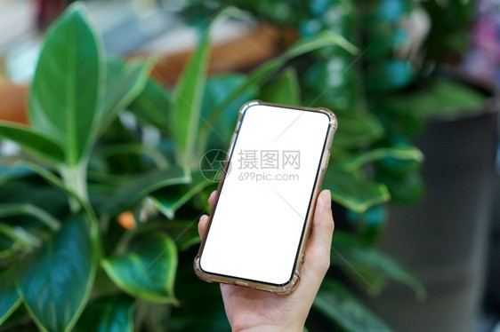 模型手握空白屏机绿色植物背景模糊数字支付概念广告互联网小工具图片