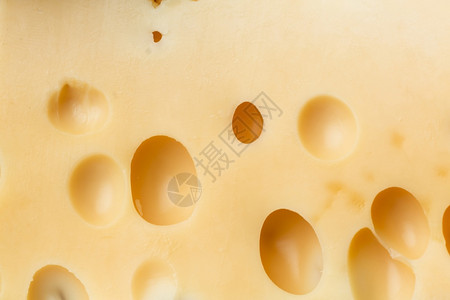 紧的美饮食奶酪切达干质地瑞士图片