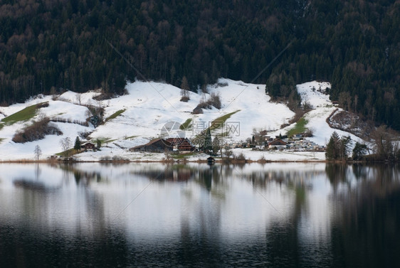 森林寒冷的在瑞士祖格附近的湖面上照片反射雪图片