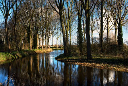 佛兰芒语水比利时小村庄Damme的一幅闪光林地景象如画落叶背景