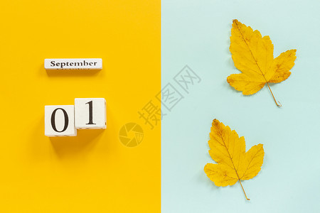 叶子提醒时间秋季作文木日历9月1日和黄色蓝背景上的黄秋叶顶视图平躺样机概念你好月秋季作文木日历图片