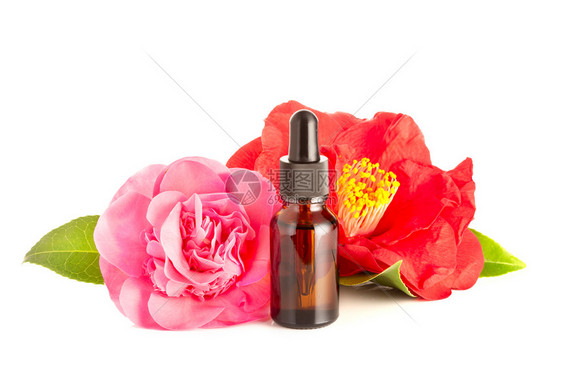 在白色背景上孤立的卡美莉亚产油白底墨水薄粉和鲜花的卡美莉亚油玻璃瓶美人皮肤护理健康或药用途植物温泉化妆品图片