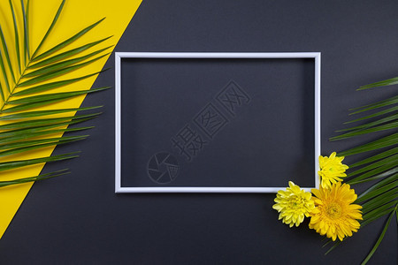 叶子趋势海滩黑色和黄背景上的热带棕榈叶和花朵框架平板顶视图复制空间夏季背景自然热带树叶的创造背景以及热带树叶的背景图片