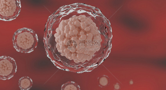 核仁生物学3d人体细胞或胚胎干显微镜底部3科学图片