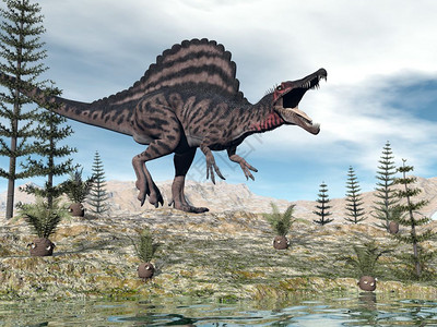 怒吼一只脊柱龙恐在沙漠中行走cycaeodia和卡莱米特植物之间3D化成脊柱龙恐3D化成D步行古生物学图片