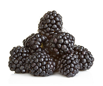 在白色背景上被孤立的黑莓新鲜含糖图片