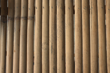 干棕竹纹理背景图案花园栅栏有机的图片