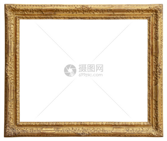 臭鼬镀金在白色背景与剪切路径隔离的白色背景上金木板架博物馆图片