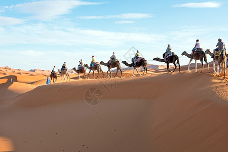 孤独穿越摩洛哥撒哈拉沙漠丘的骆驼大篷车摩洛哥酋长国运输图片