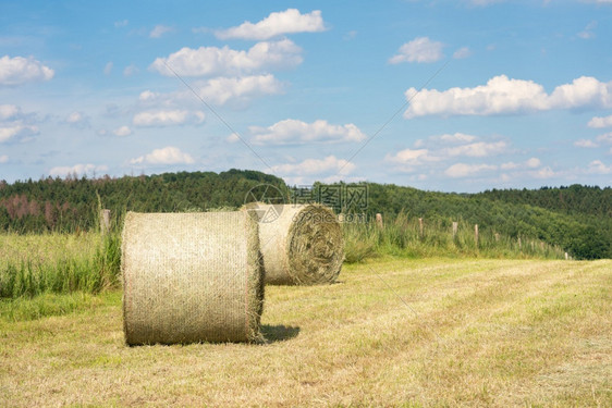 云德国农业与蓝天对抗草地上大片干滚动的全景象非城市风图片