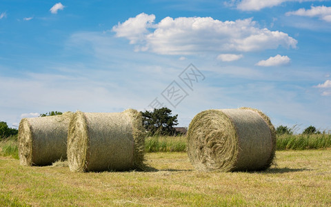 场地路德维希夏天国农业与蓝对抗草地上大片干滚动的全景象图片