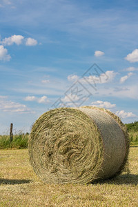 一种德国农业与蓝天对抗草地上大片干滚动的全景象欧洲莱茵威斯特法伦图片