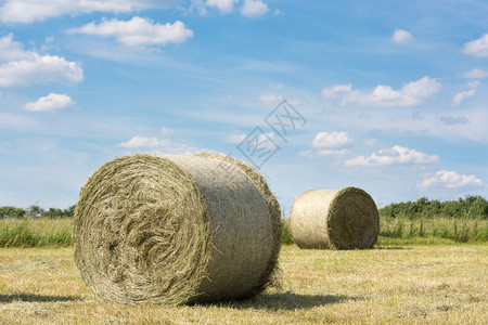 包德国农业与蓝天对抗草地上大片干滚动的全景象夏天欧洲图片