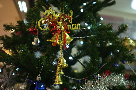 冷杉卡片圣诞节和新年假日背景季图片