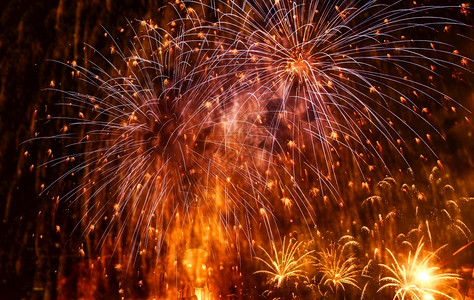 高清图片蓝色的礼夜晚爆烟花新年背景高清图片唯美场景樱花高清图片