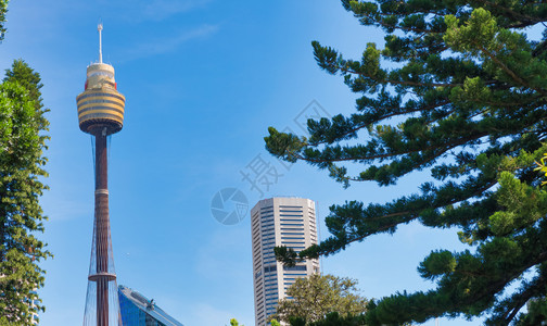 摩天大楼港口在澳洲阳光明媚的一天从海德公园看到悉尼的天际线门户14图片