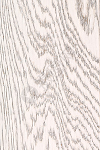 抽象的干净白漆橡木纹理关闭背景白漆橡树木纹理空的图片