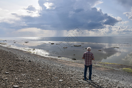 海滩鹅卵石经过在奥兰岛的瑞典NeptuniAkrr自然保护区图片