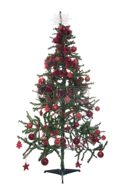 玩具派对十二月以白色背景隔离的经装饰圣诞树典型绿色和红颜图片