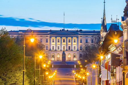 城市景观奥斯陆下城天际与皇宫在挪威的夜间历史建造图片