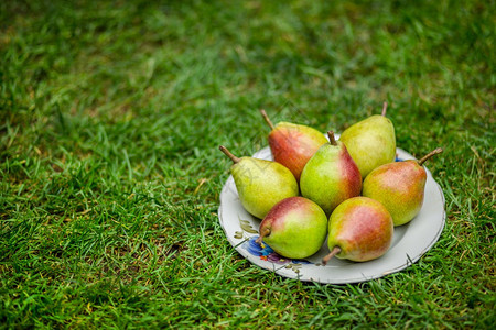 木制桌上的梨子餐有树叶梨子素食主义者甜的木制图片