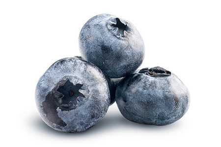 可口孤立在白色背景上的小堆蓝莓孤立在白色背景上的小堆蓝莓饮食新鲜的图片