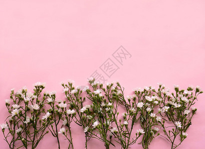 粉红背景的吉卜赛人婚礼花样明信片植物装饰图片