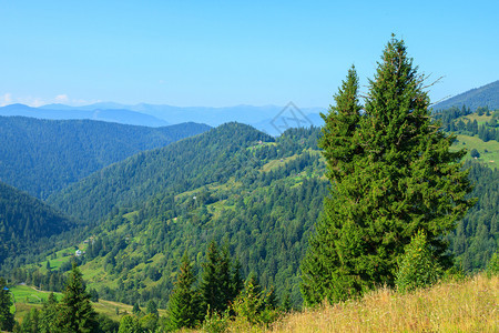 木头在乌克兰最高霍芬纳喀尔巴阡山脉背景下的长绿树之下木制的爬坡道图片