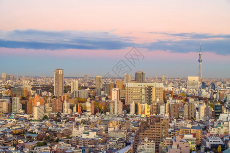 建筑学黄昏摩天大楼东京市际新宿地区的顶端景色日本落美丽图片