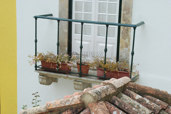 建筑学植物带状疱疹辛特拉一个美丽和传统窗户阳台的照片Sintra图片