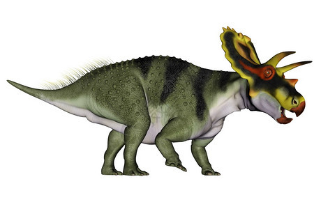 在白色背景中孤立的电离层恐龙3D化成电离层恐龙3D化成电离层恐龙白色的草食侏罗纪图片