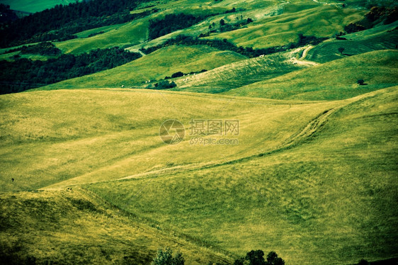 乡村的户外意大利地区典型貌托斯卡纳意大利语图片