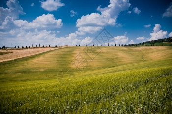 景观翁布里亚意大利地区典型貌托斯卡纳农业图片