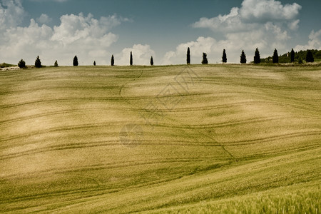 农村意大利地区典型貌托斯卡纳爬坡道平静的图片