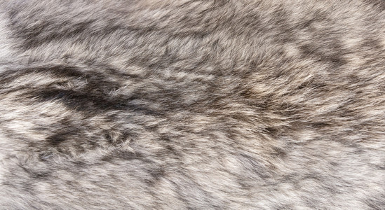 编造的狼皮作为背景和纹理精雕细琢服装头发图片