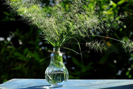 玻璃夜晚的太阳吹风时花瓶中放的朵在园里以绿色自然背景为生的野小花朵上产生感觉和平静美丽接受图片