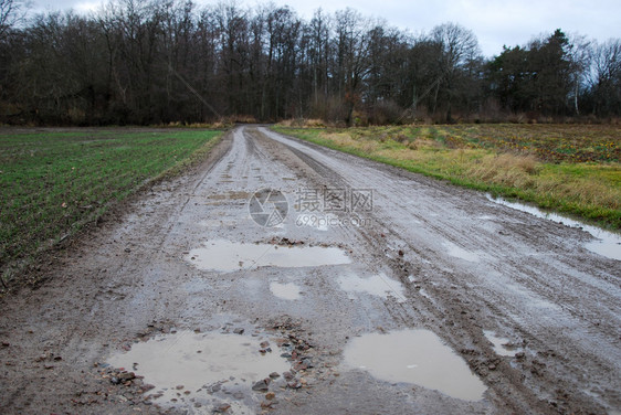 草地肮脏的车道农村地貌湿乡道路图片