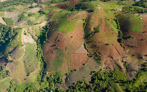 乡村的亚洲区MaeChamChang清迈泰国北部顶层风景的田地稻图片